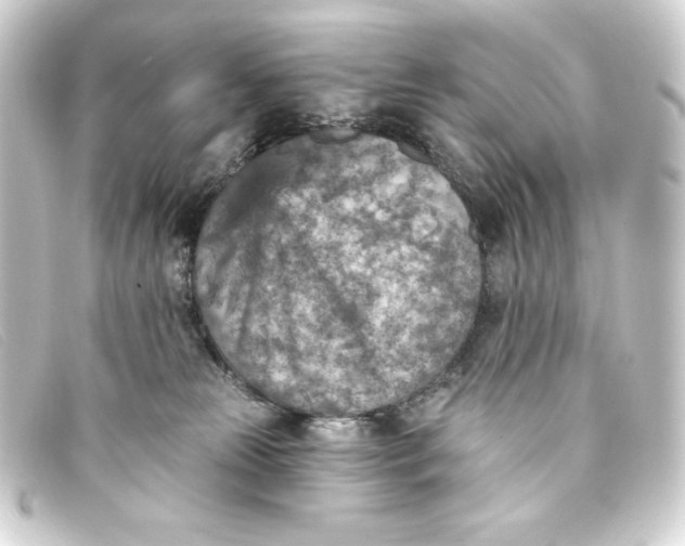 X0000093170181200710241047