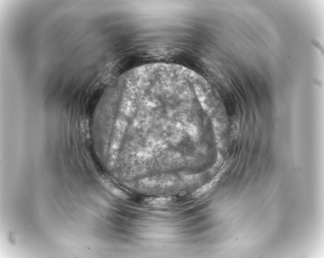 X0000093170182200710241047