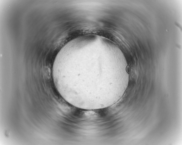 X0000093170183200710241047