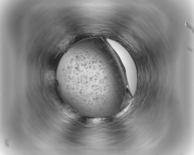 X0000093170184200710241047