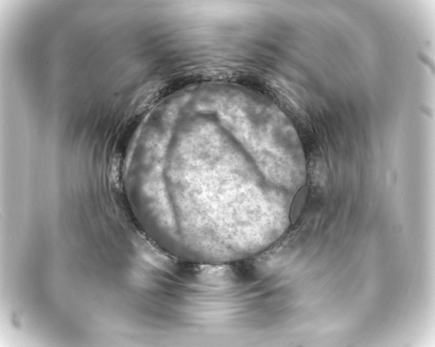 X0000093170185200710241047