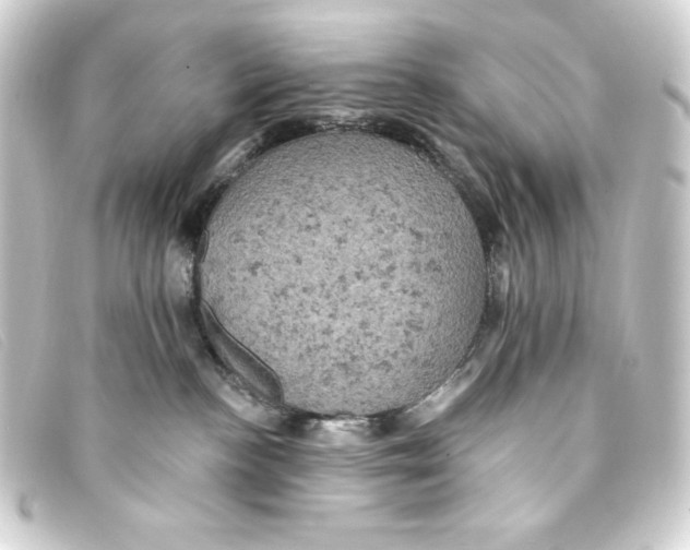 X0000093170188200710241047