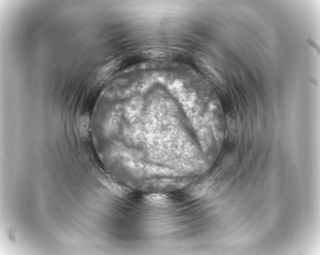 X0000093170189200710241047