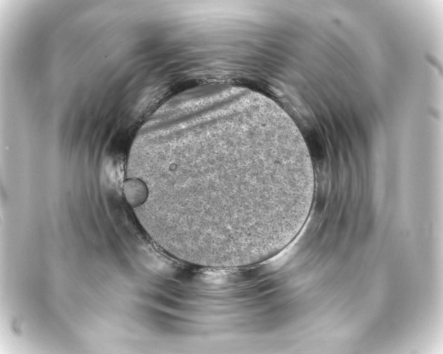 X0000093170190200710241047