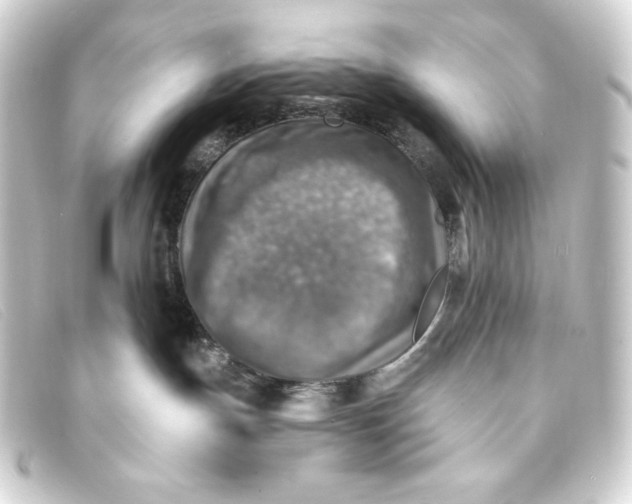 X0000093170191200710241047