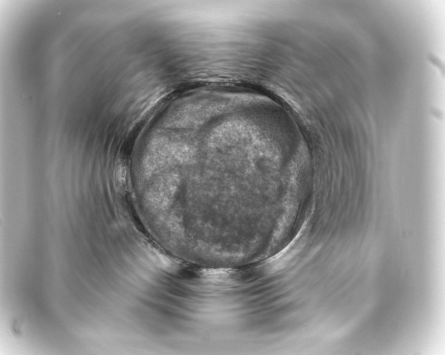 X0000093170192200710241047