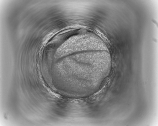 X0000093170193200710241047