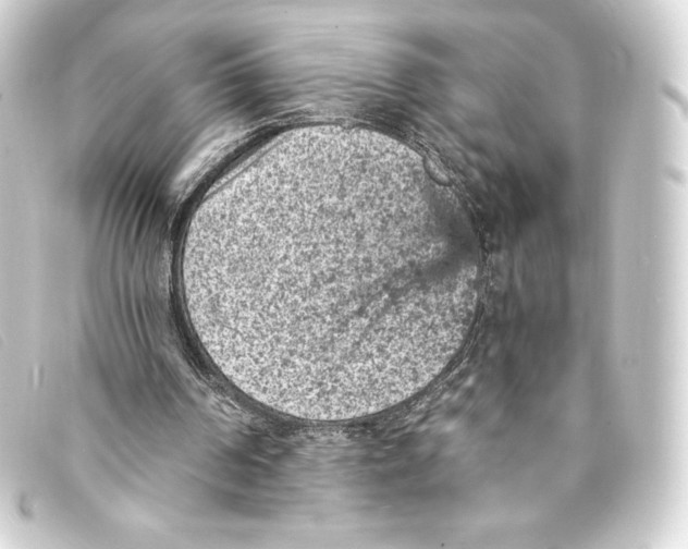 X0000093170194200710241047