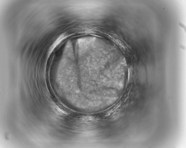 X0000093170195200710241047