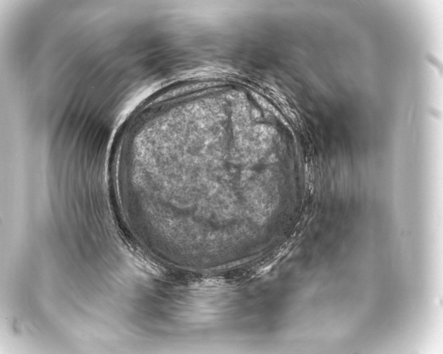 X0000093170196200710241047