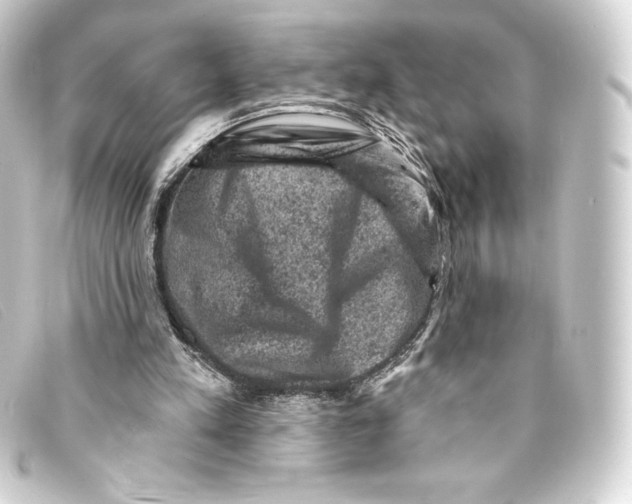 X0000093170197200710241047