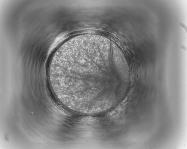 X0000093170198200710241047