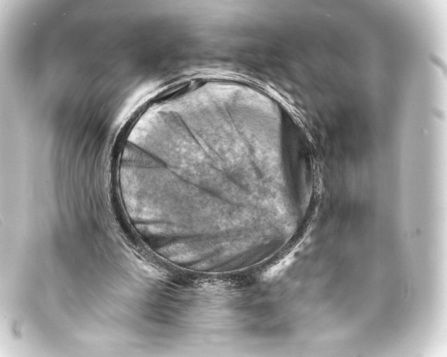 X0000093170199200710241046