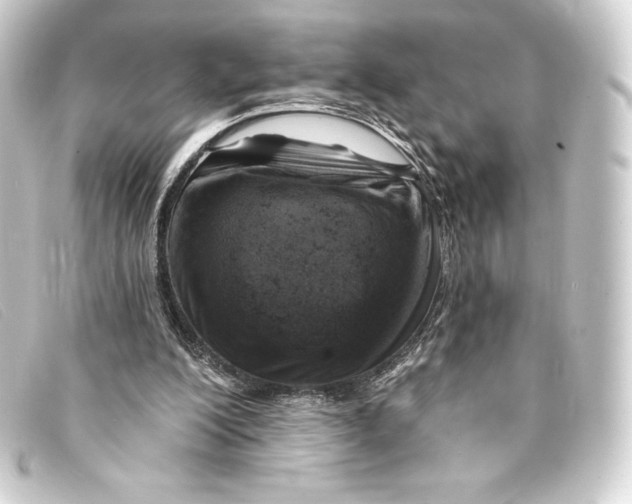 X0000093170200200710241046