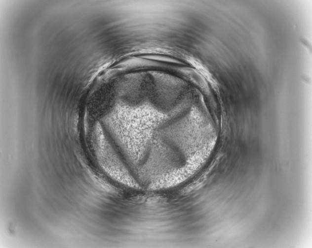 X0000093170201200710241046