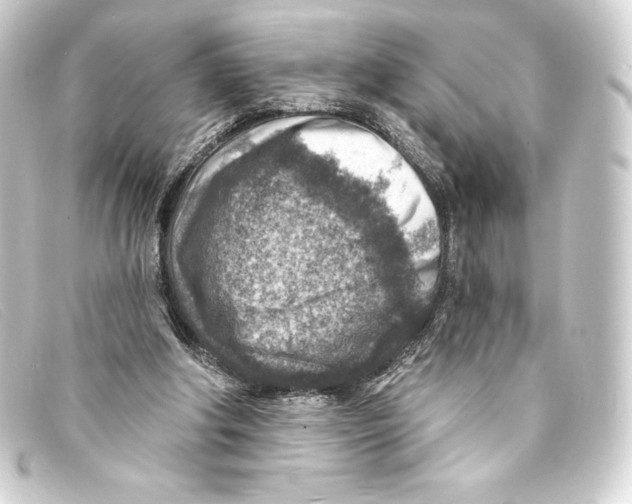 X0000093170202200710241046