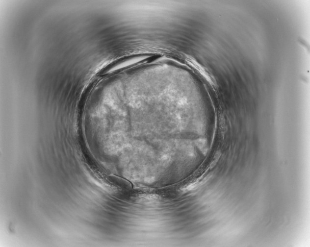 X0000093170203200710241046