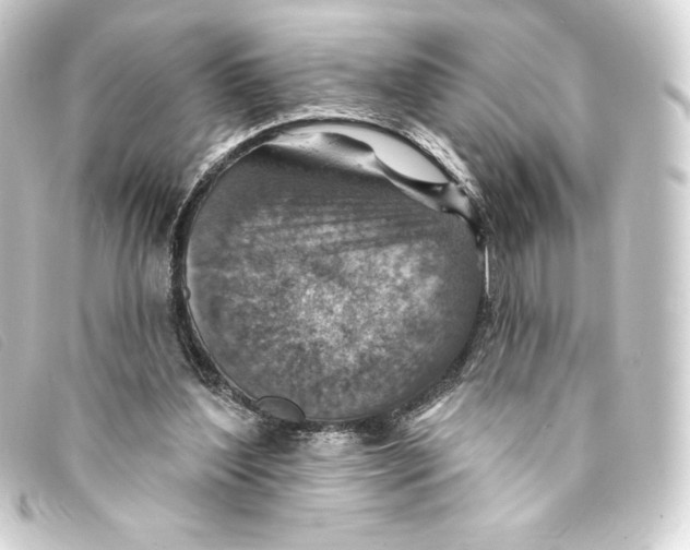 X0000093170204200710241046