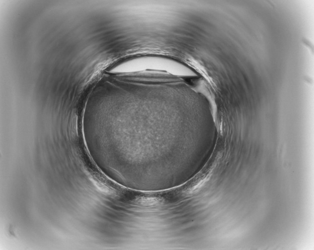 X0000093170205200710241046