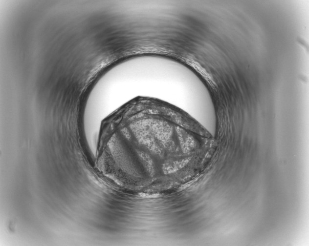 X0000093170207200710241046