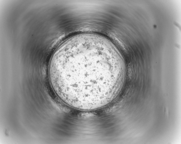 X0000093170208200710241046