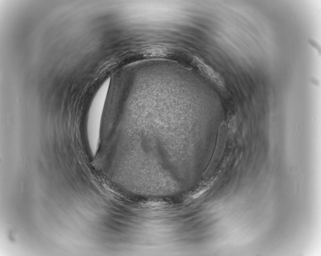 X0000093170209200710241046