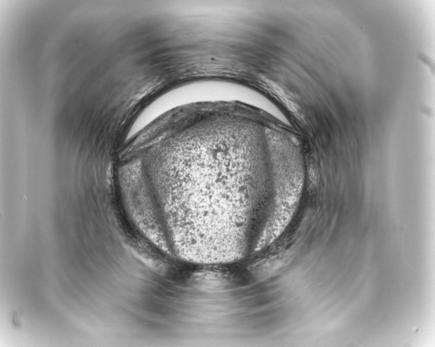 X0000093170211200710241046