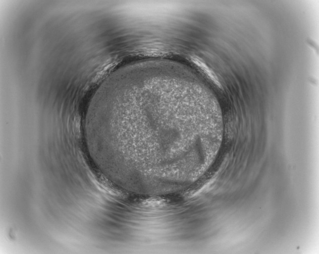 X0000093170213200710241046