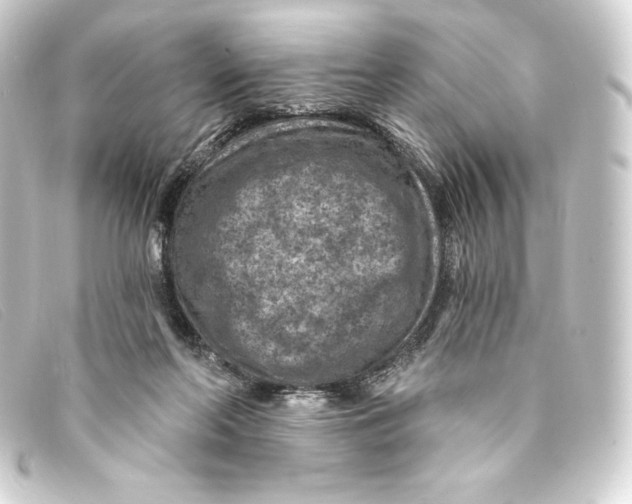 X0000093170214200710241046