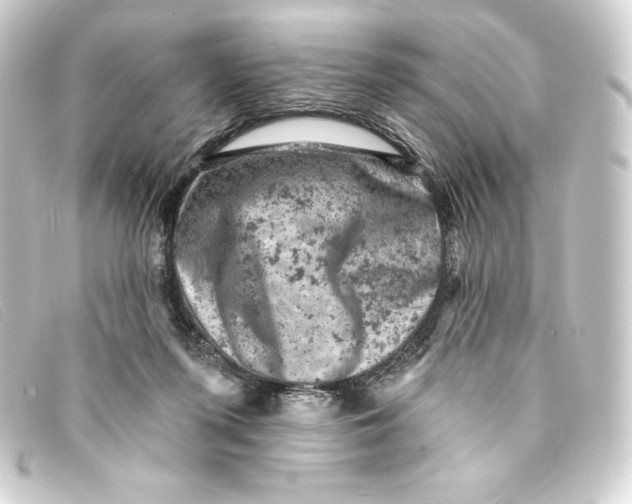 X0000093170215200710241046