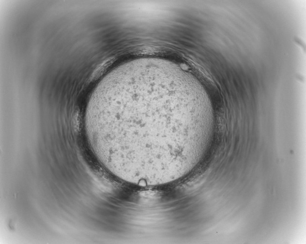 X0000093170216200710241046