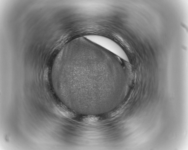 X0000093170217200710241046