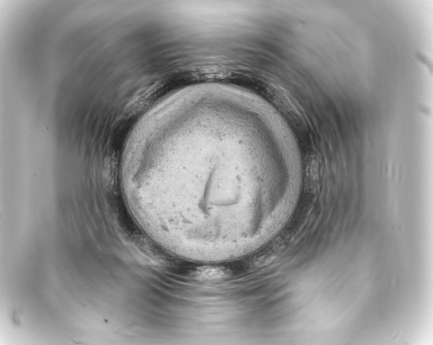 X0000093170218200710241046