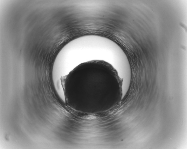 X0000093170219200710241046