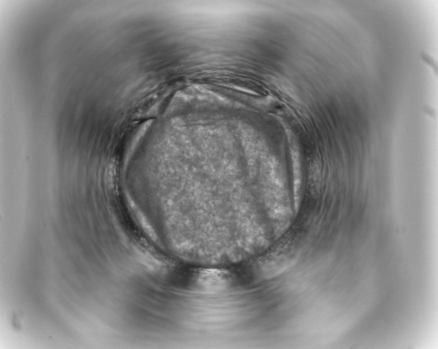 X0000093170222200710241046