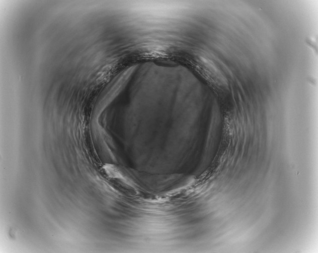 X0000093170223200710241046