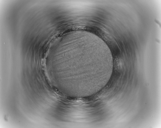 X0000093170224200710241046