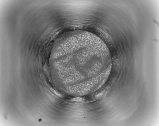 X0000093170225200710241046