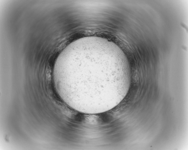 X0000093170226200710241046