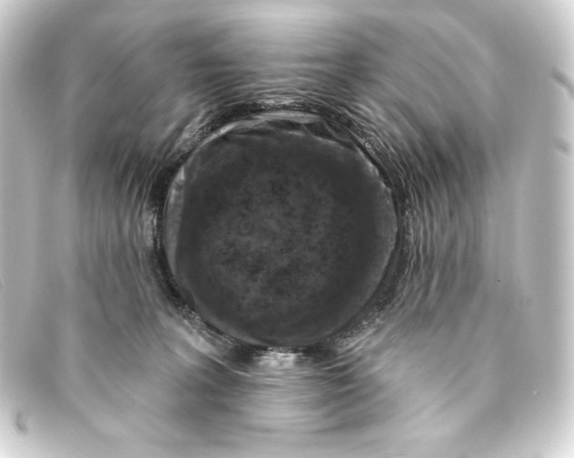 X0000093170227200710241046