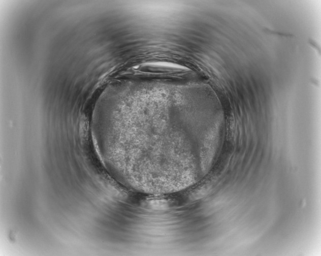 X0000093170228200710241046