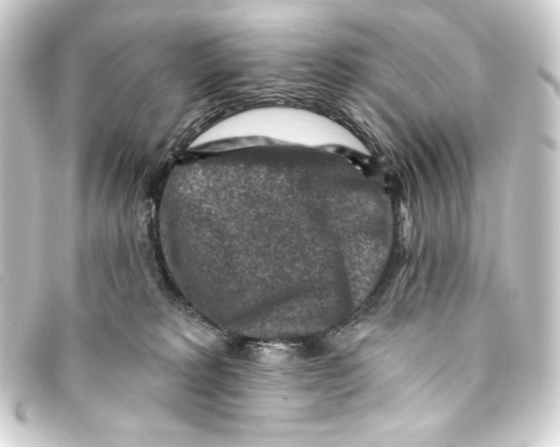 X0000093170229200710241046