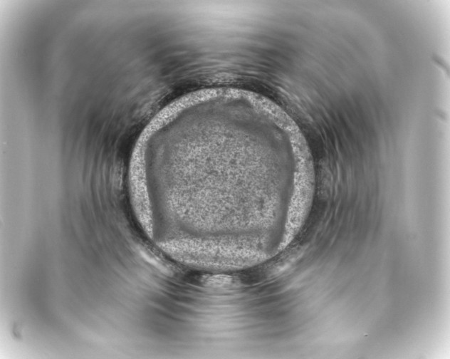 X0000093170230200710241046