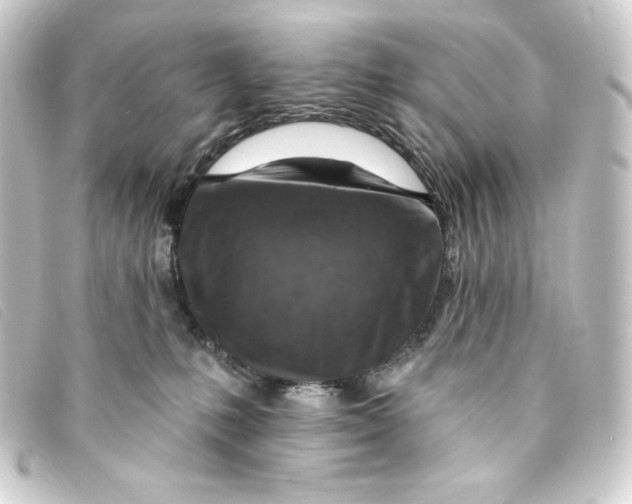 X0000093170231200710241046