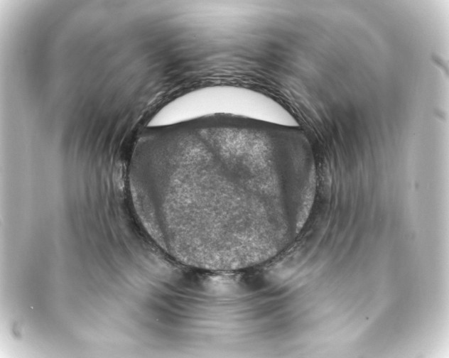 X0000093170232200710241046