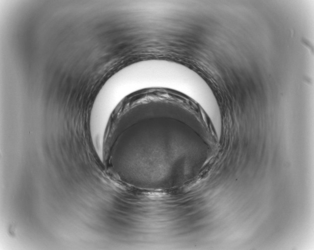 X0000093170233200710241046