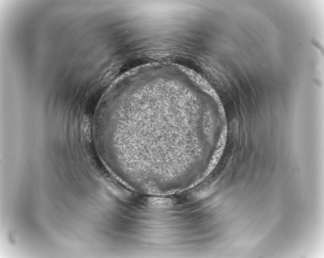 X0000093170234200710241046