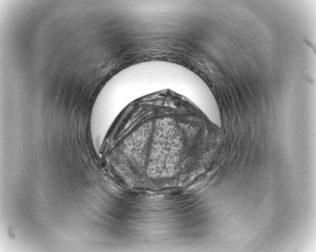 X0000093170235200710241046