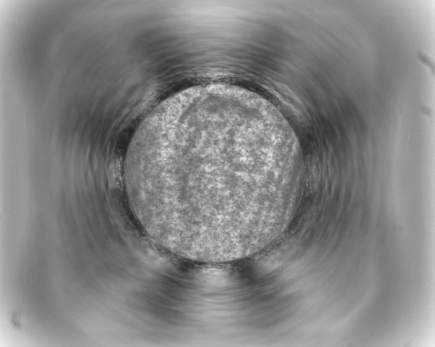 X0000093170236200710241046