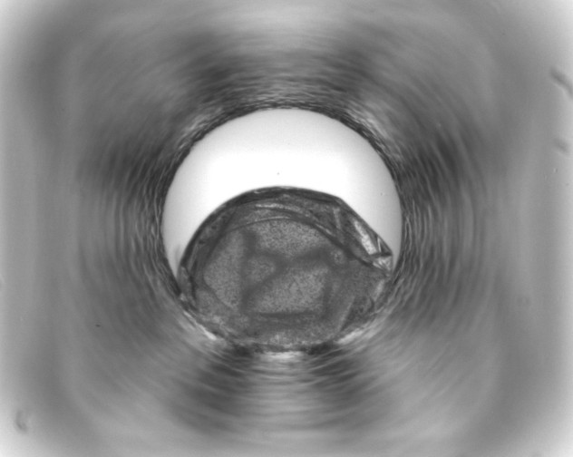 X0000093170237200710241046